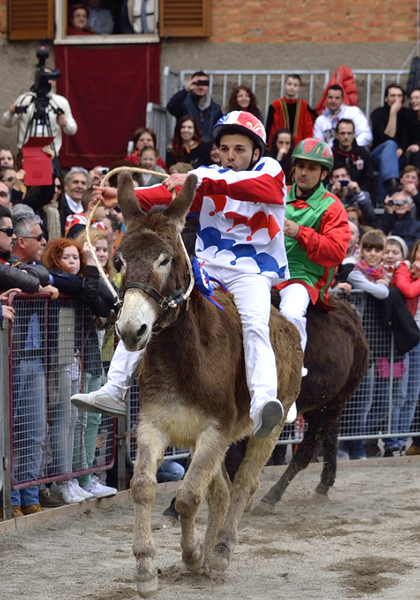 What do donkeys have to do with Father's Day?